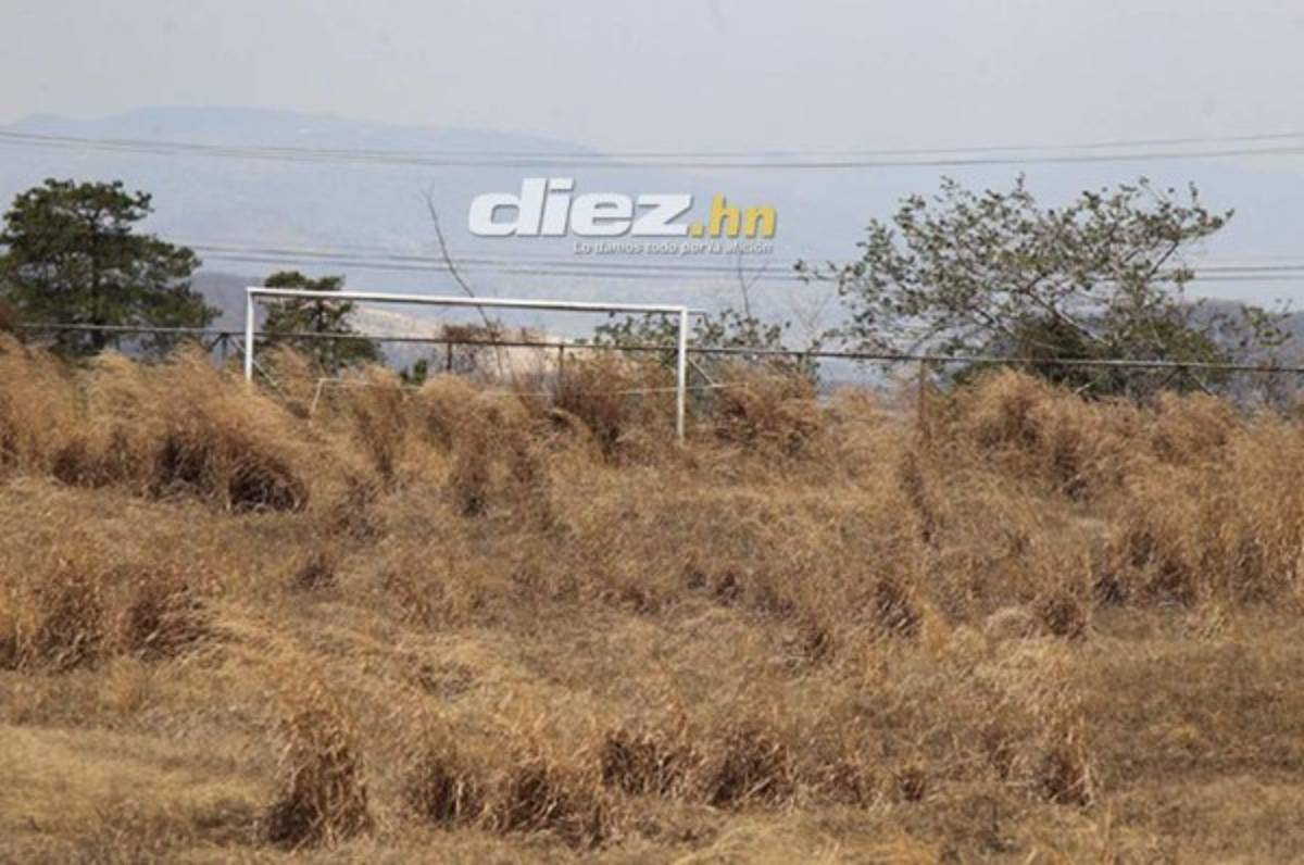 Los millones que dio FIFA a Honduras con los Proyectos Gol de Callejas y Hawit