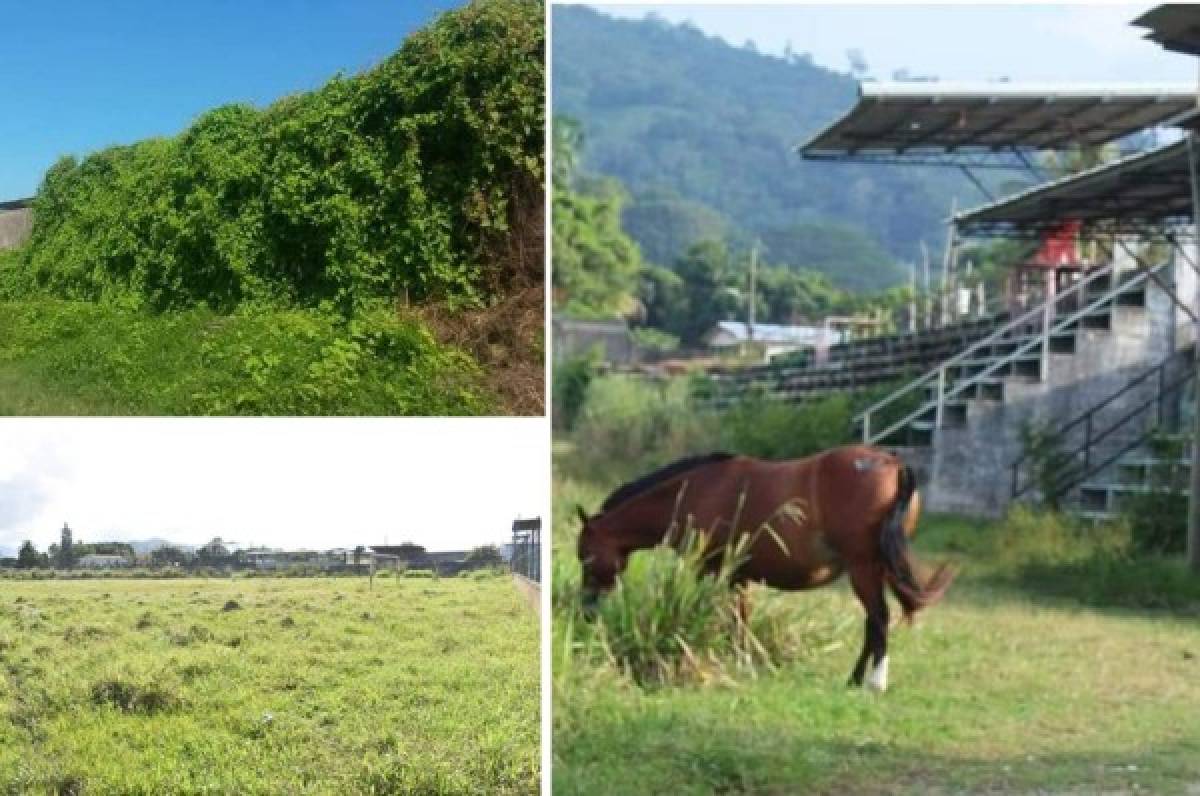 Las deprimentes imágenes del abandono del estadio Alfredo León Gómez en Tela