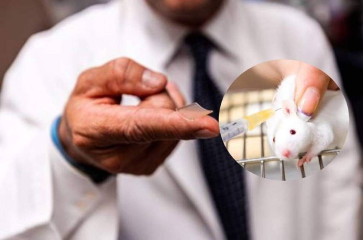 Vacuna experimental contra coronavirus da resultados positivos en ratones