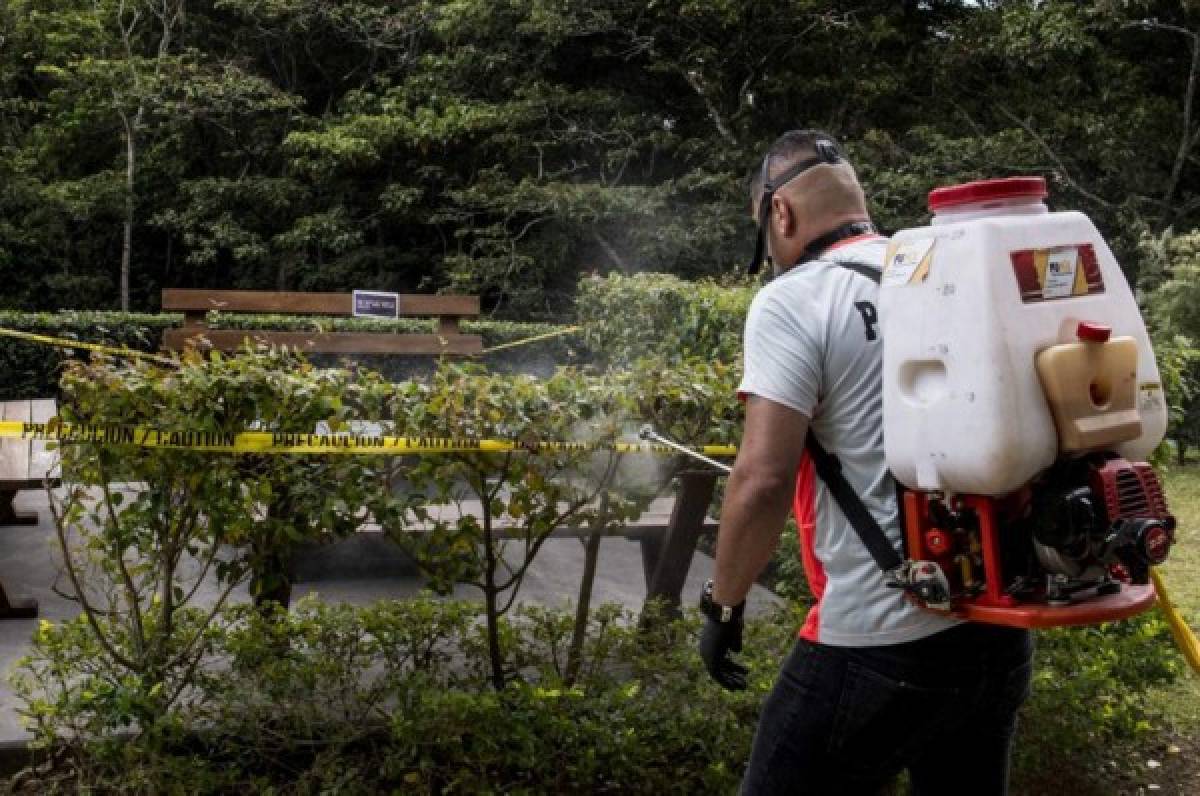 Costa Rica y sus claves para ser un país del continente que controló el coronavirus