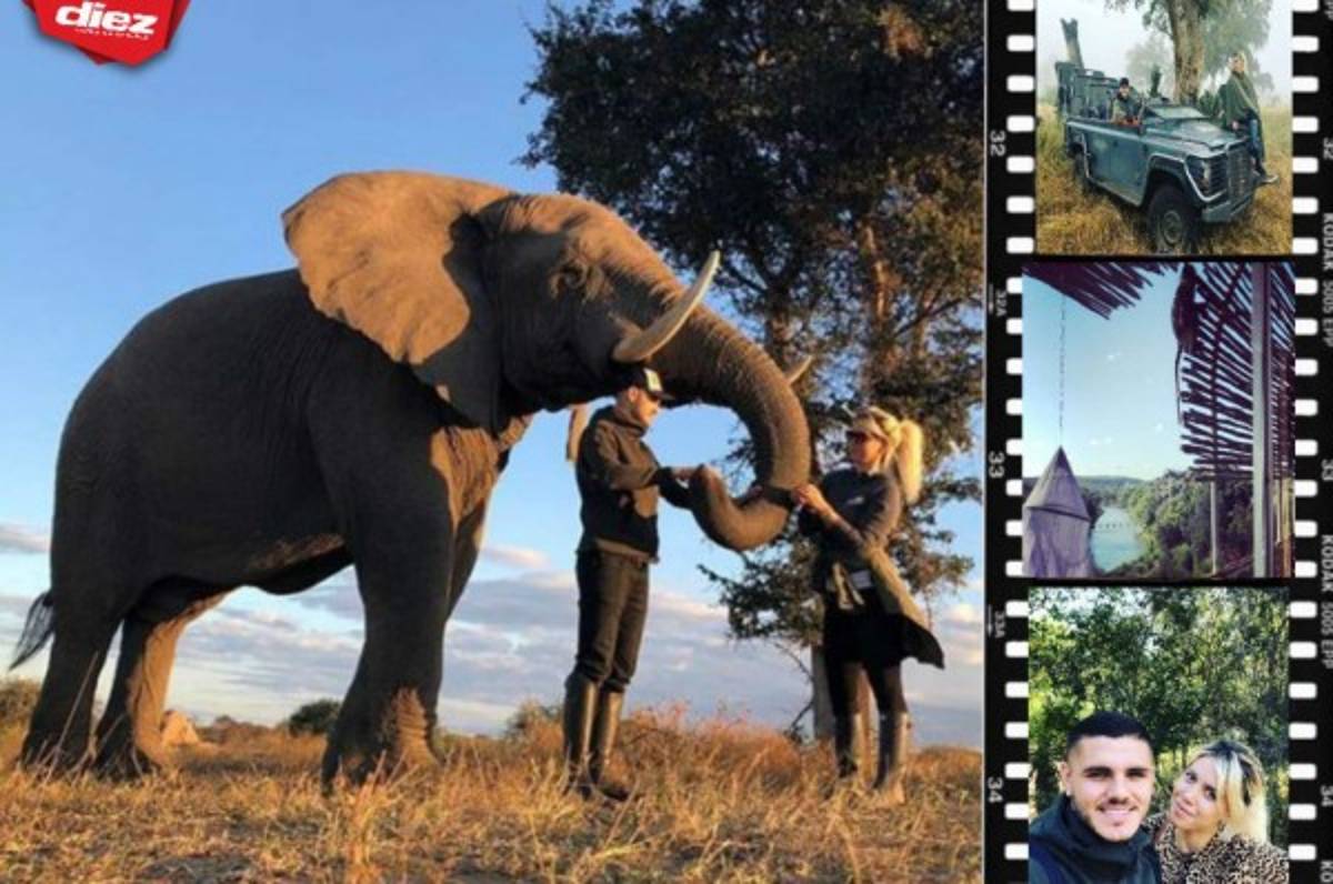 Wanda Nara se desnuda en la sabana con Mauro Icardi ¡Hasta atrajo a los monos!