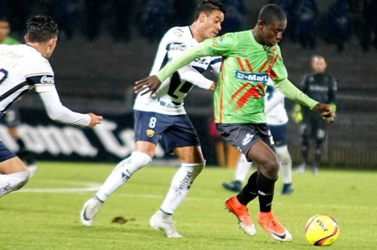 FICHAJES: Legionarios sin contrato y los movimientos en la Liga Nacional