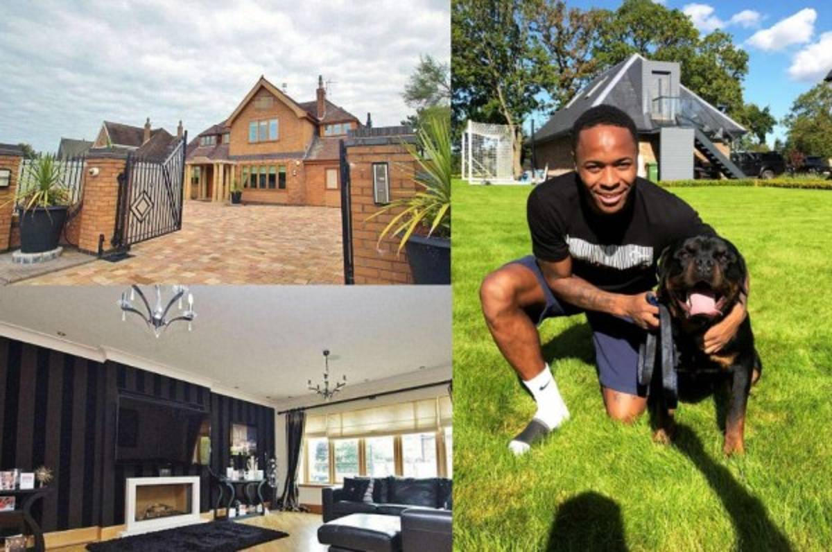 ¡Increíble! El perro de 20 mil dólares que compró Sterling para cuidar su mansión