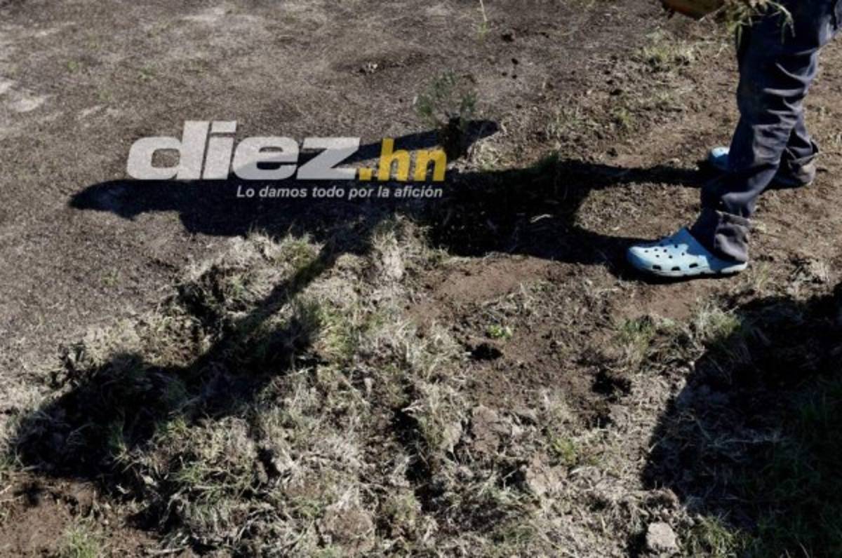 ¡Daño total en el engramillado! Así luce el estadio de Parrillas One tras ser azotado por dos huracanes