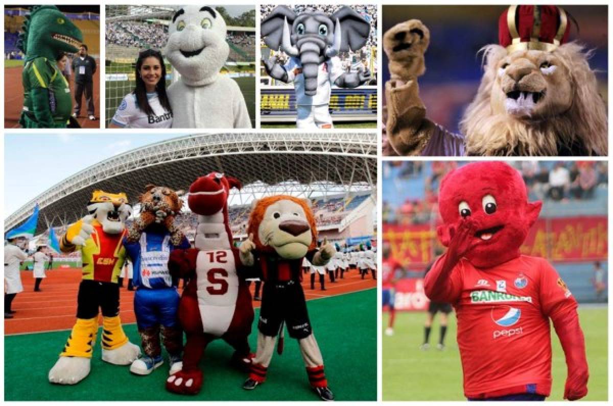 ¿Cuál te gusta más? Estas son las mascotas de los clubes de Centroamérica