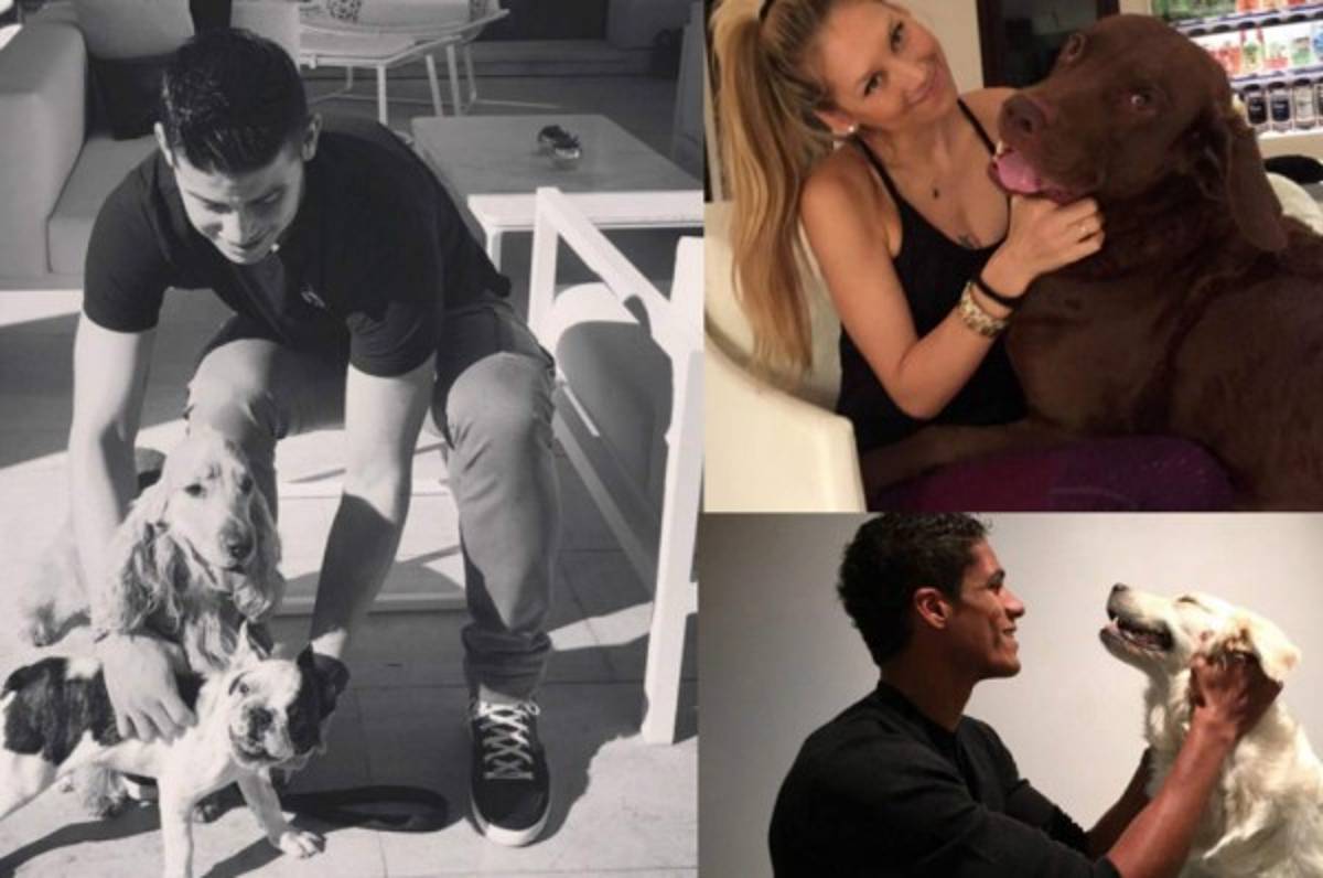 Las 15 mascotas de grandes deportistas que debes conocer