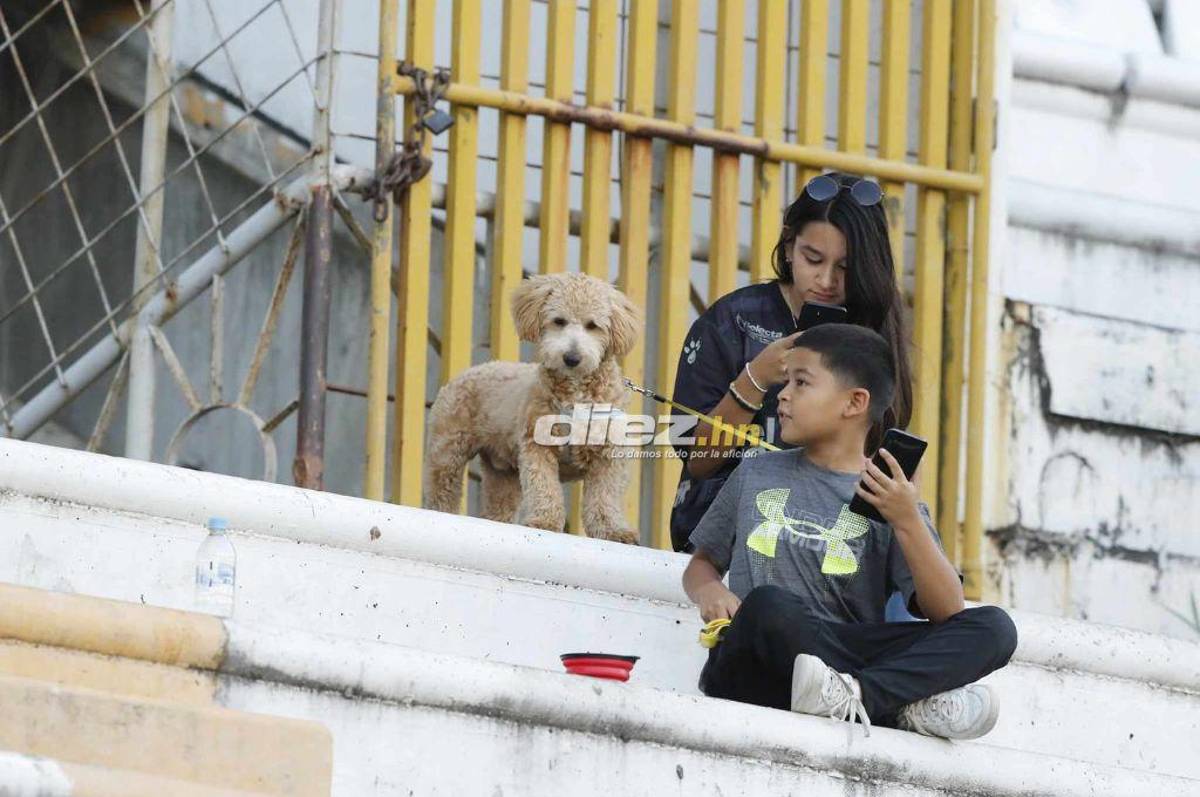 Piden la salida de Falero, el youtuber estadounidense que llegó al Olímpico y lo que pasó con hincha de Real España