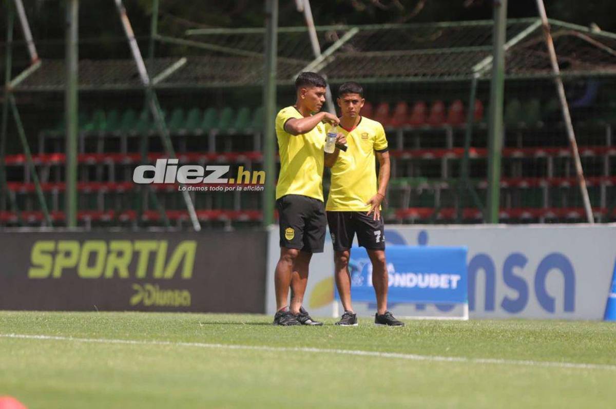 ¡Espectacular! Así luce la nueva grama del estadio Yankel Rosenthal; rectificación de medidas y 100% natural