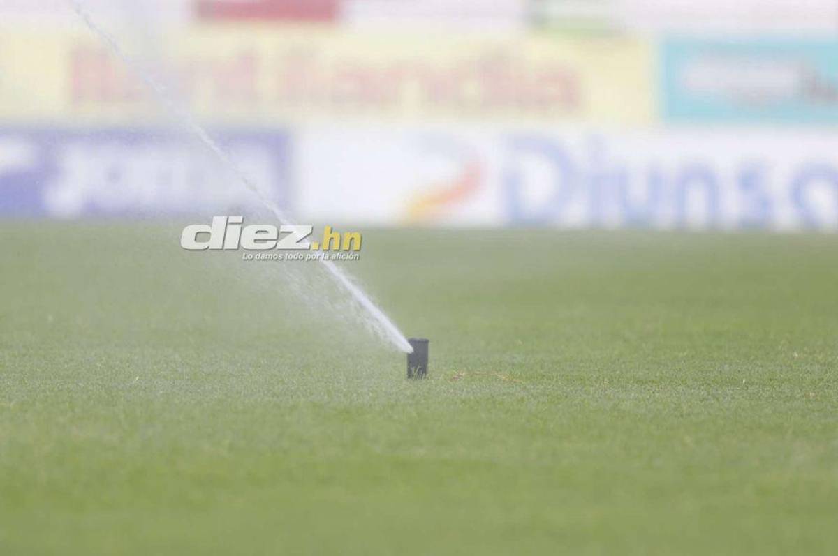 ¡Espectacular! Así luce la nueva grama del estadio Yankel Rosenthal; rectificación de medidas y 100% natural