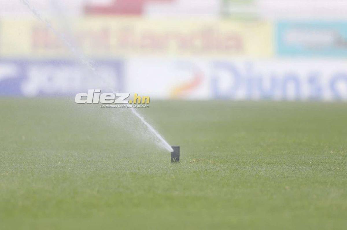 ¡Espectacular! Así luce la nueva grama del estadio Yankel Rosenthal; rectificación de medidas y 100% natural