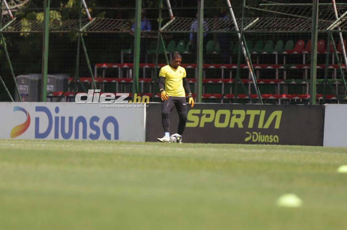 ¡Espectacular! Así luce la nueva grama del estadio Yankel Rosenthal; rectificación de medidas y 100% natural