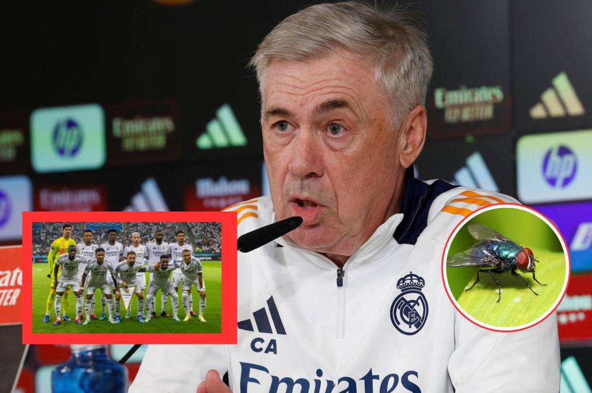 Ancelotti habla sobre un jugador ‘irrespetuoso’ y revela: “Me gustaría ser una mosca; se ponía la toalla en la cara para no escucharme”