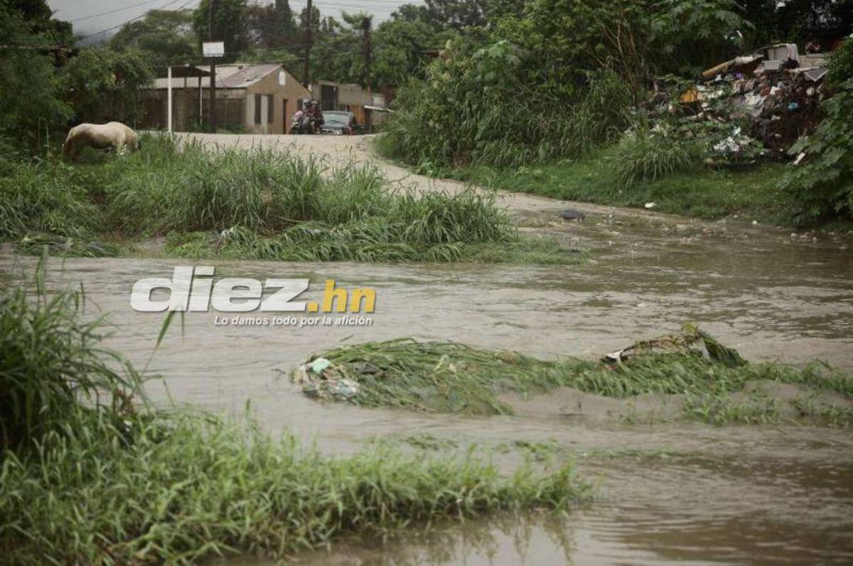 ¡Informe Especial! Honduras sube alerta roja en ocho departamentos: la tormenta ha dejado caos e inundaciones en varias zonas del país