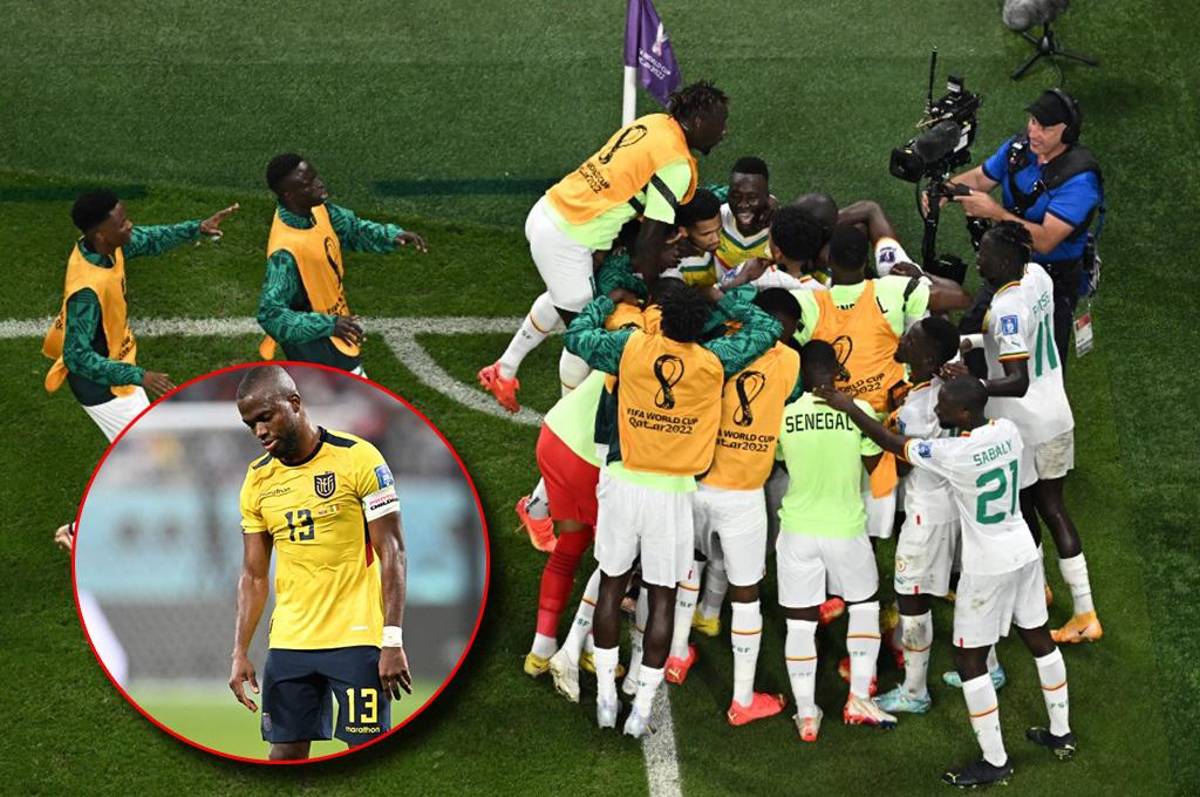 ¡Adiós a la Tricolor! Ecuador se quedó solo a un gol y fue eliminado del Mundial tras caer ante Senegal