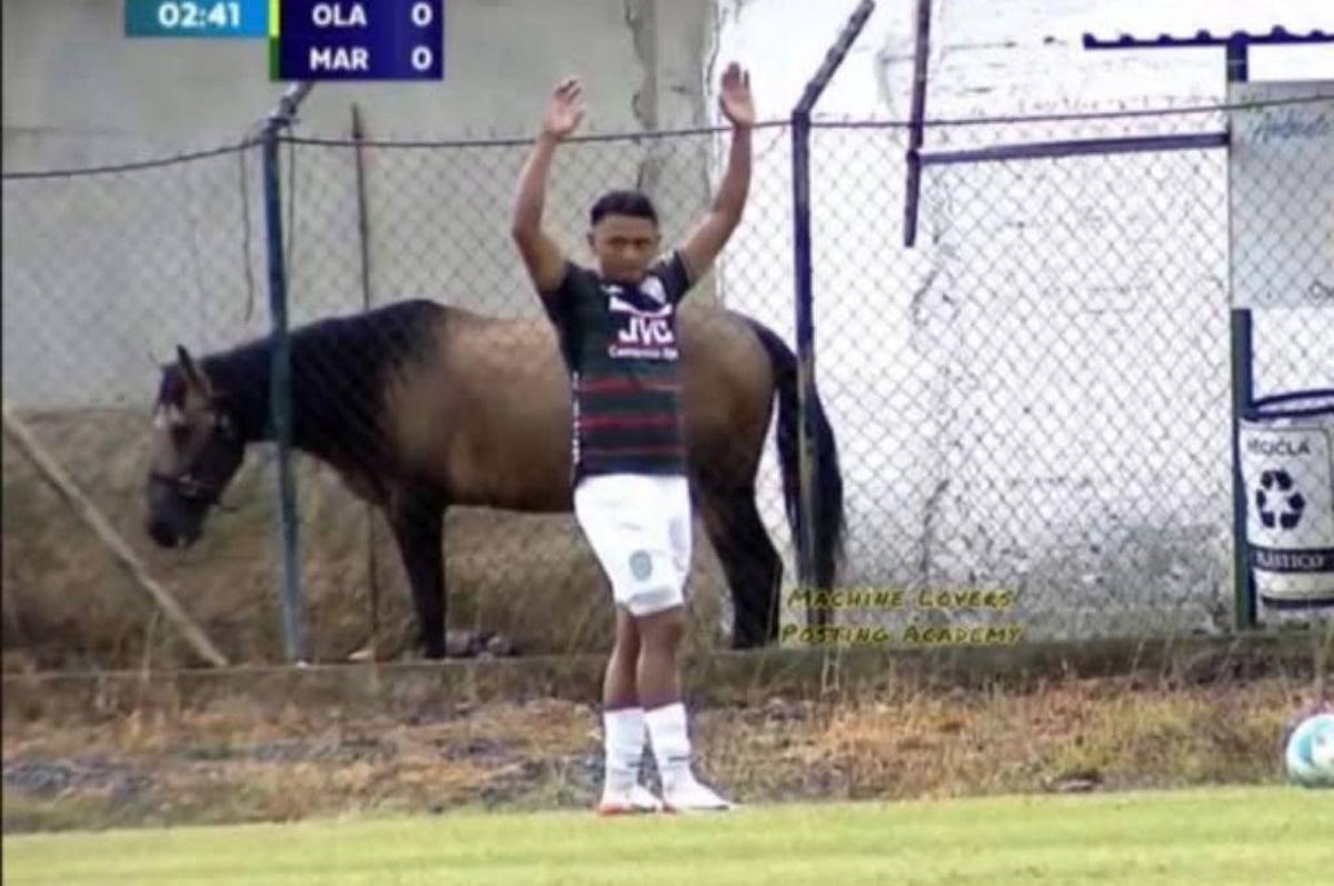 Un caballo y una 'piscina' protagonistas en Liga Nacional; el golazo que silenció el Morazán y la pesadilla del Real España