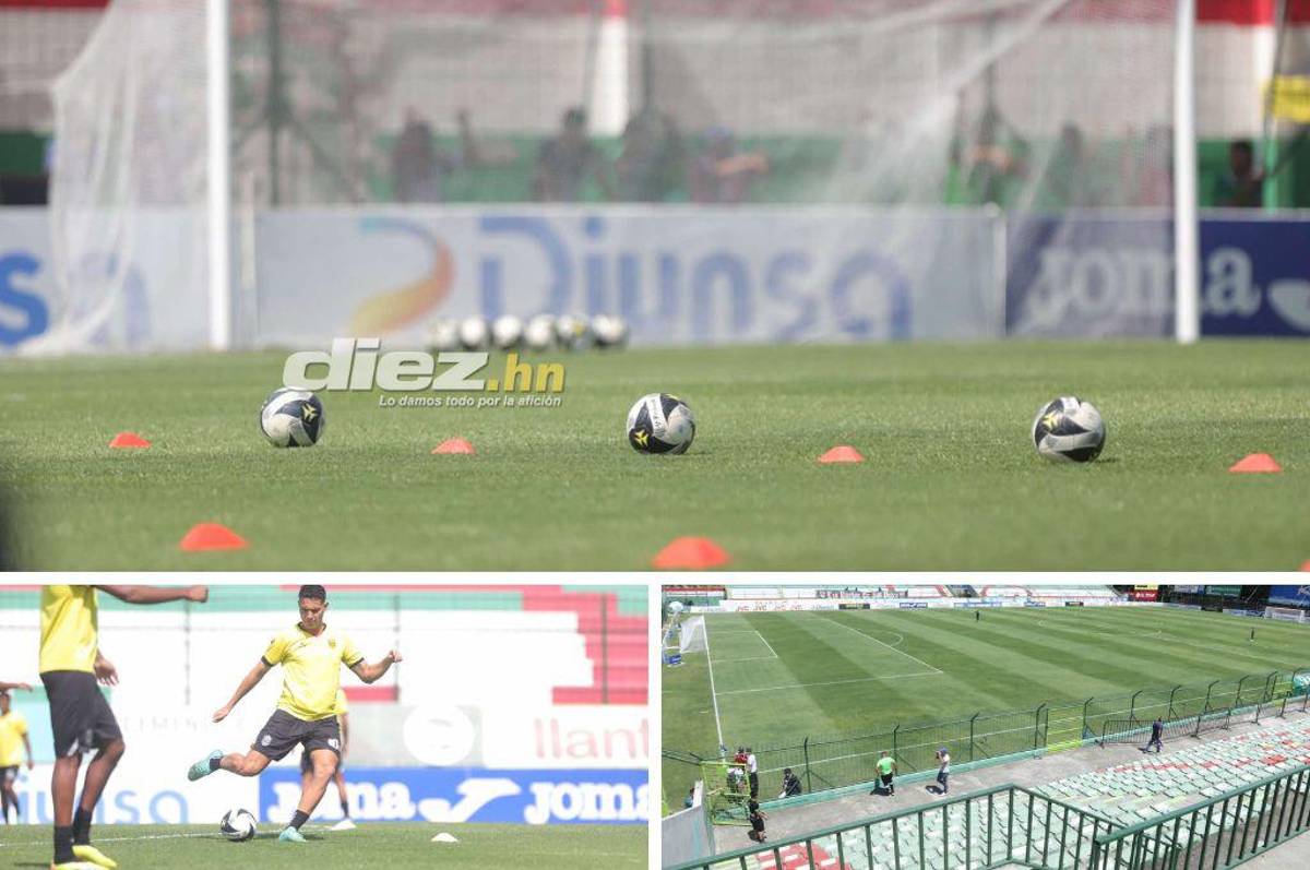 ¡Espectacular! Así luce la nueva grama del estadio Yankel Rosenthal; rectificación de medidas y 100% natural