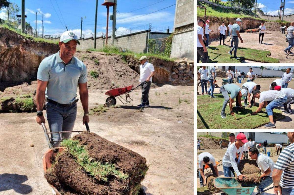 Grama retirada del estadio Nacional “Chelato” Uclés será plantada en el campo del Centro Penitenciario de Támara