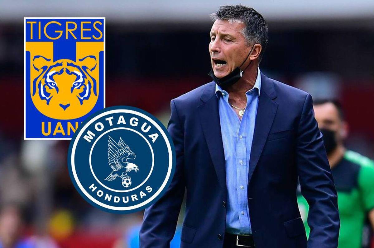 Confirmado: Robert Siboldi será el nuevo técnico de Tigres para el partido contra Motagua en Champions de Concacaf