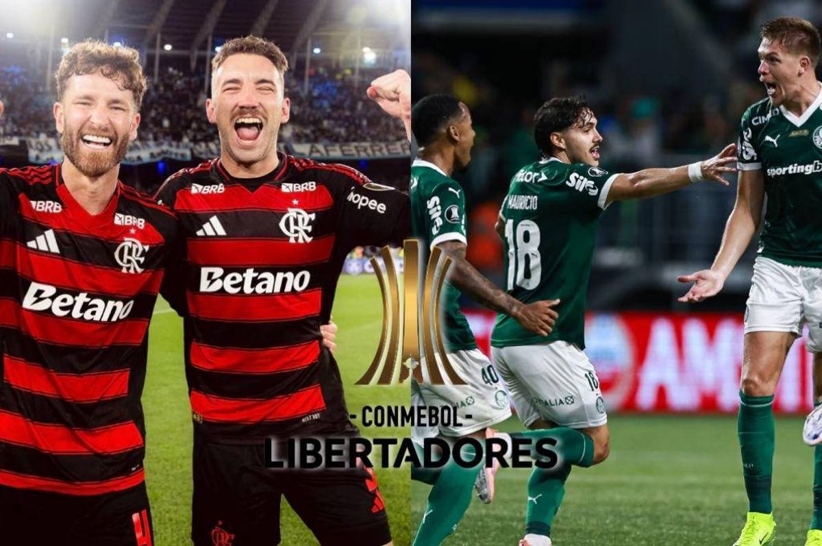 Copa Libertadores 2025: falleció a pocas horas de disputarse la final entre Palmeiras y Flamengo