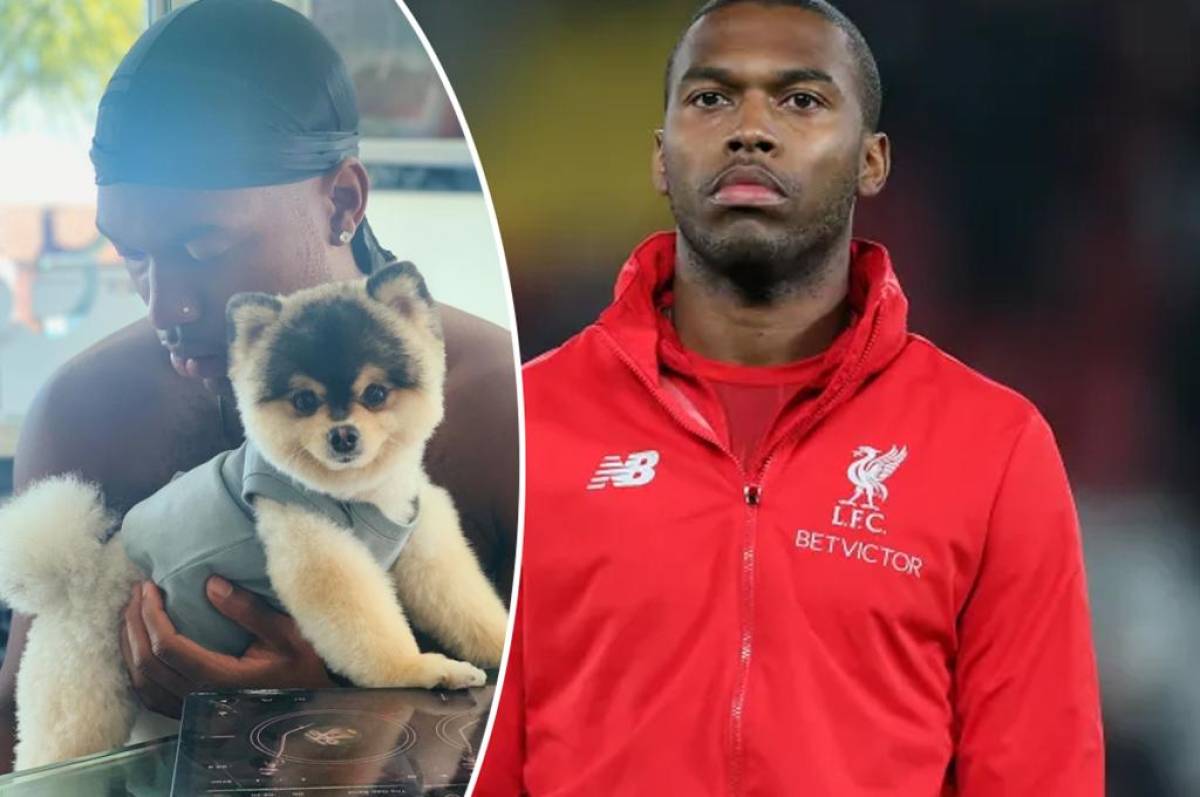 Daniel Sturridge, ex figura del Liverpool, obligado a pagar 30 mil dólares a un hombre que encontró a su perro