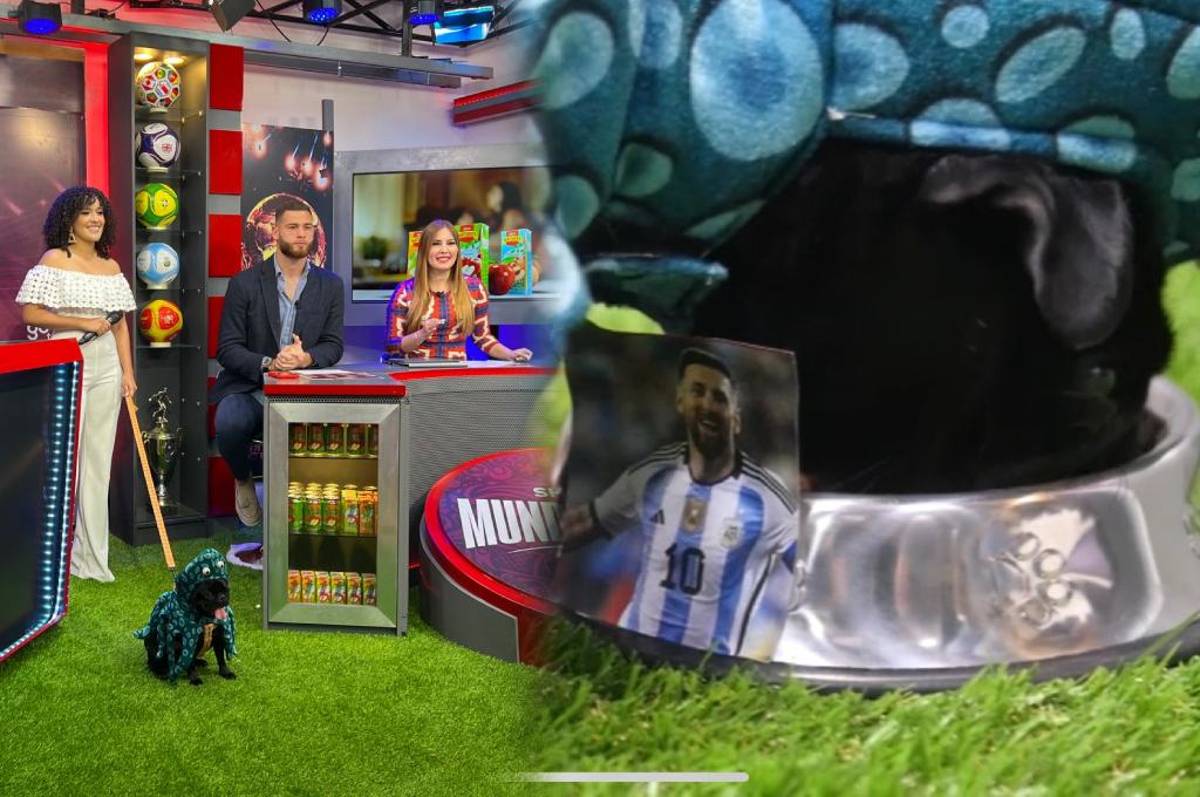 Las primeras predicciones del Pulpo Pug en el estreno del Show Mundialista: jugador figura y campeón en Qatar