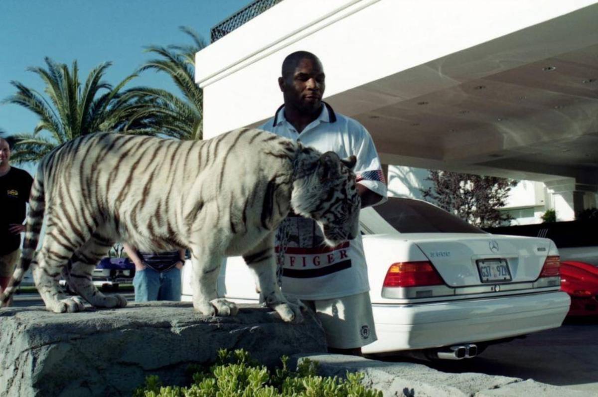 Mike Tyson: Su enfermedad, escándalos más polémicos y grandes logros como boxeador