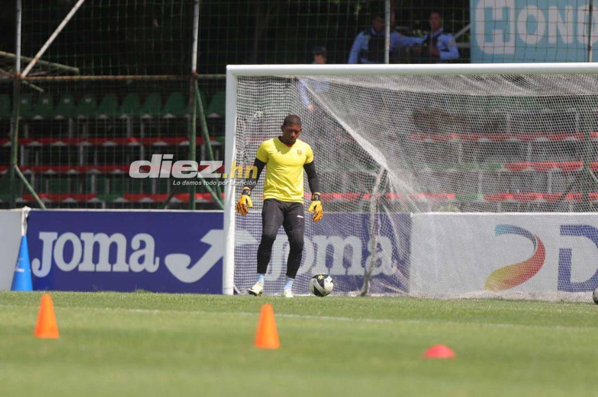 ¡Espectacular! Así luce la nueva grama del estadio Yankel Rosenthal; rectificación de medidas y 100% natural