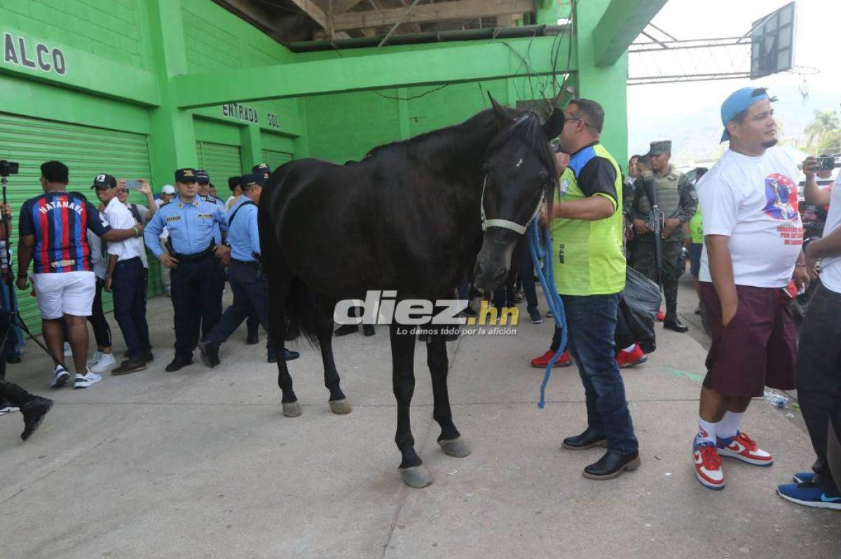 Fotos: La Ultra Fiel se “apodera” de Juticalpa; caballos y llenazo en la final entre Potros y Olimpia