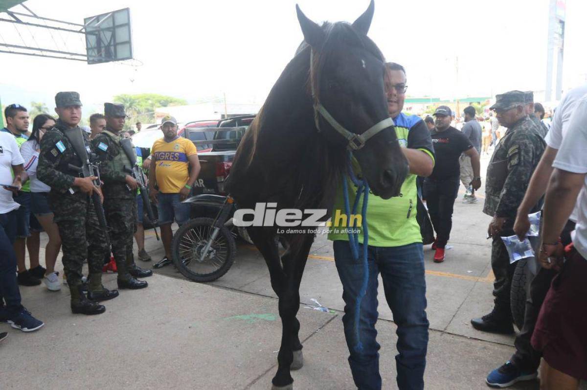 Fotos: La Ultra Fiel se “apodera” de Juticalpa; caballos y llenazo en la final entre Potros y Olimpia