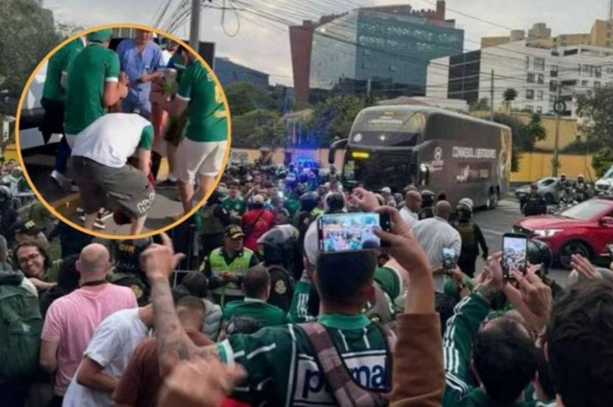 Copa Libertadores 2025: falleció a pocas horas de disputarse la final entre Palmeiras y Flamengo
