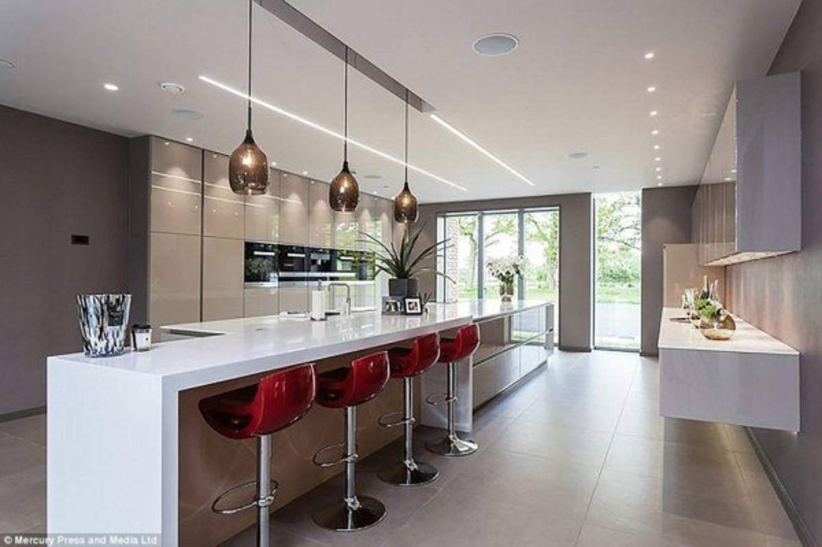 ¡Increíble! El perro de 20 mil dólares que compró Sterling para cuidar su mansión