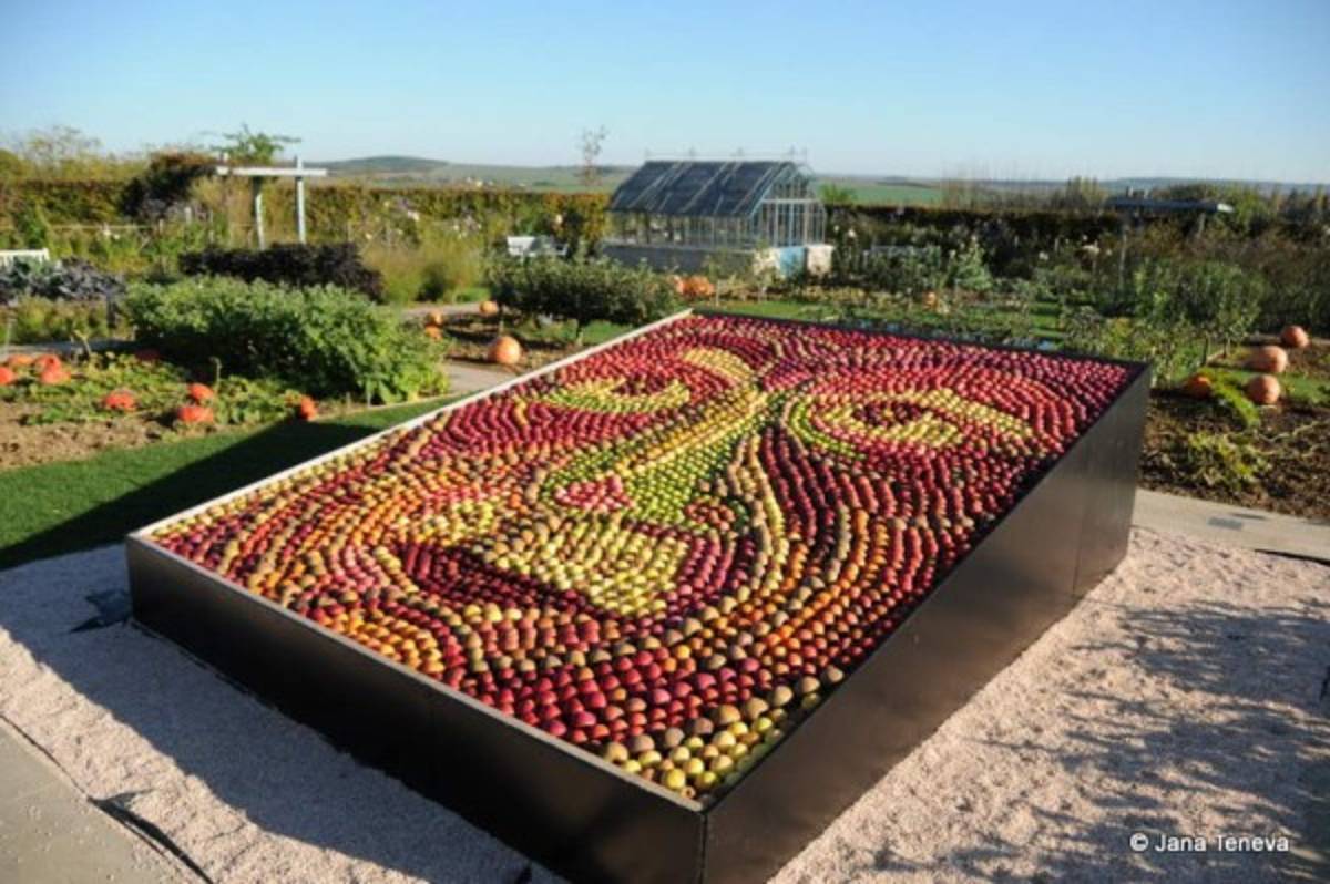 FOTOS: Nacen manzanas artísticas en Shanghai, China