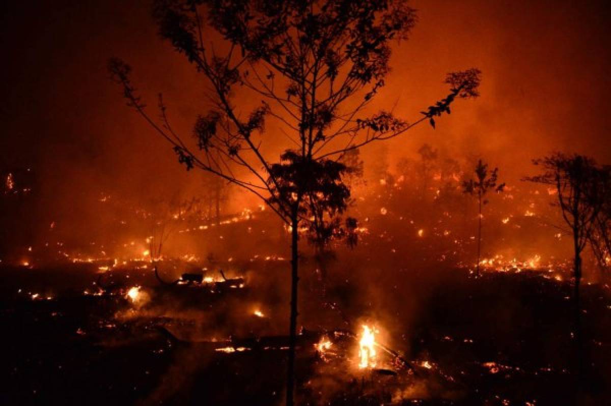 ¡Impactante! Incontrolable incendio destruye decenas de hectáreas de pino en El Hatillo