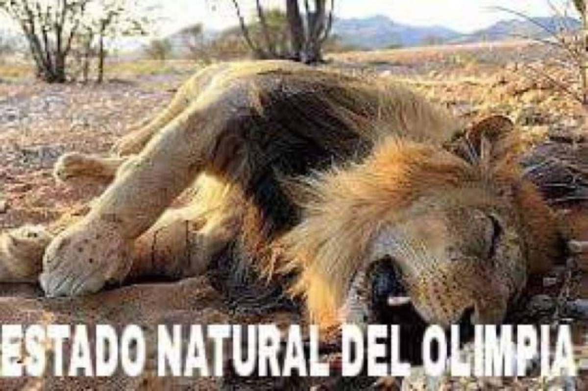 Olimpia cae ante Real España y lo acribillan de divertidos memes