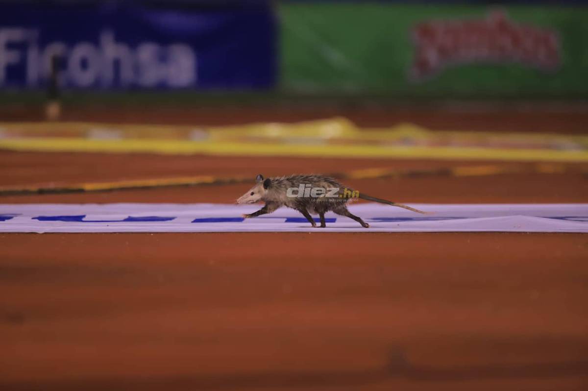 La tristeza y decepción en el Olímpico: Las duras imágenes de la Selección de Honduras tras la derrota con Curazao