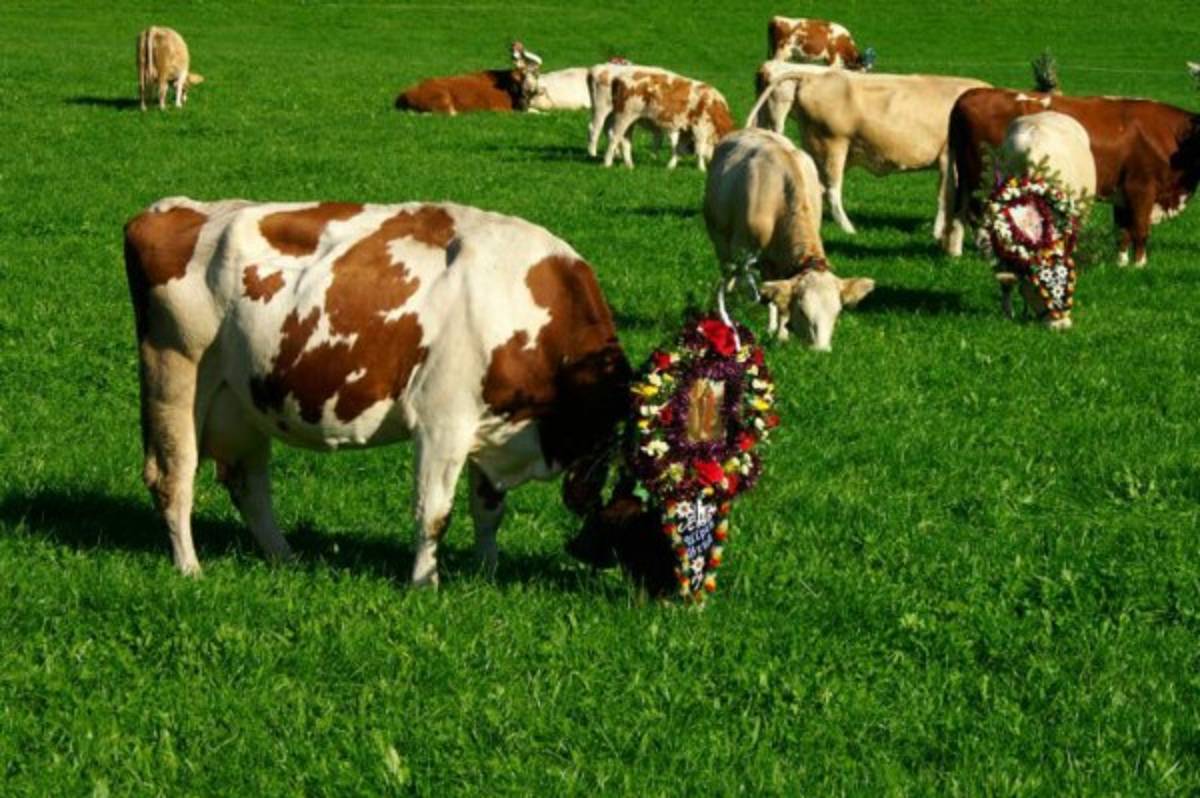 Todo lo que debes saber sobre India, el país sede del Mundial Sub-17