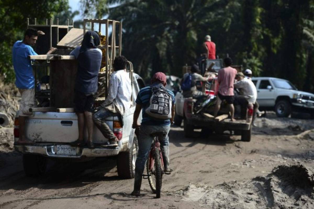 Se llevan las camas, estufas y sus mascotas: familias hondureñas dejan sus casas por miedo al hucarán Iota