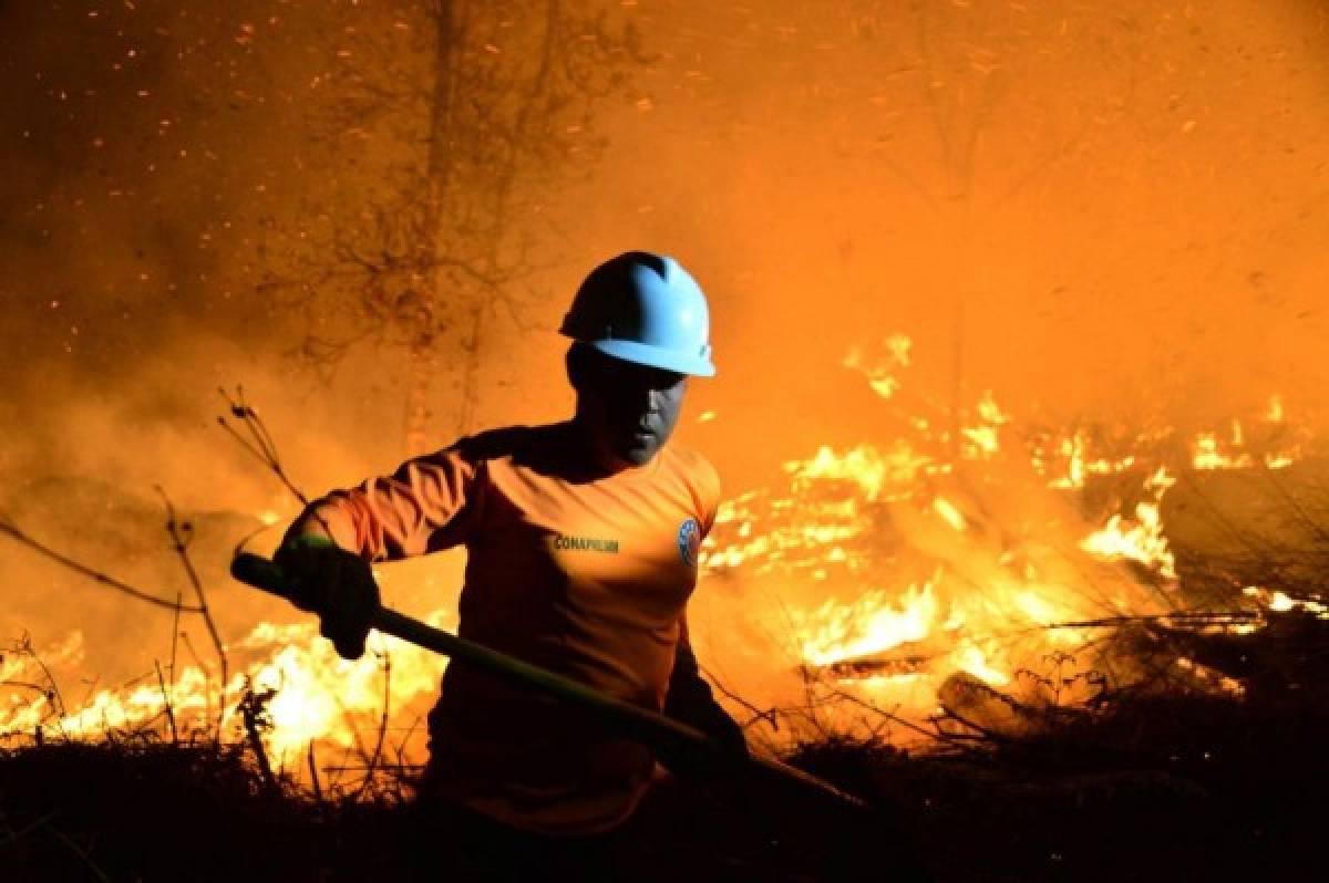 ¡Impactante! Incontrolable incendio destruye decenas de hectáreas de pino en El Hatillo