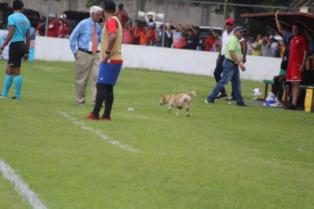 El beso de Moreira, hermosa novia de jugador del Platense y 'Firulais' fue protagonista