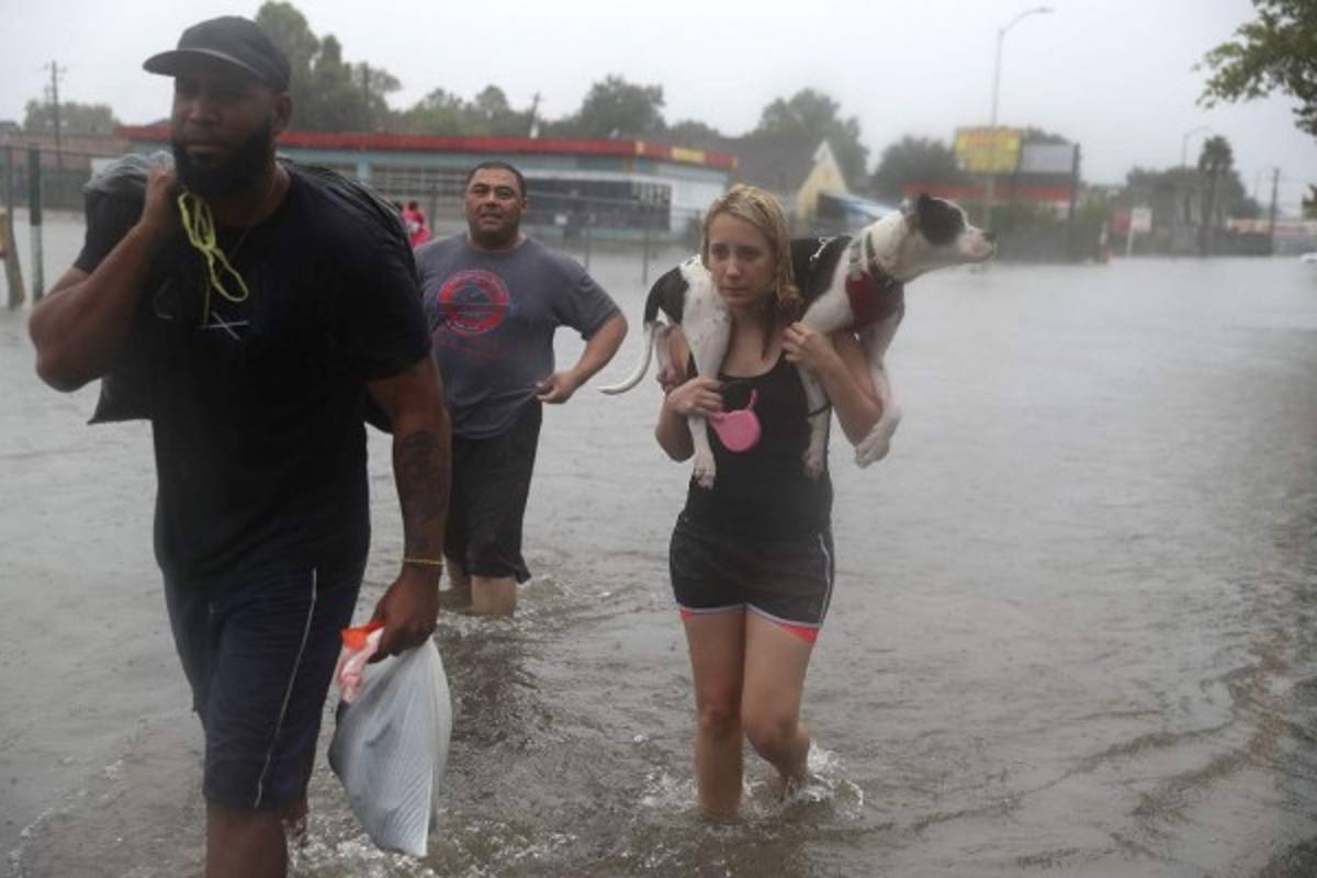 INFORME ESPECIAL: Impactantes fotografías de las inundaciones del huracán Harvey en Houston, Texas