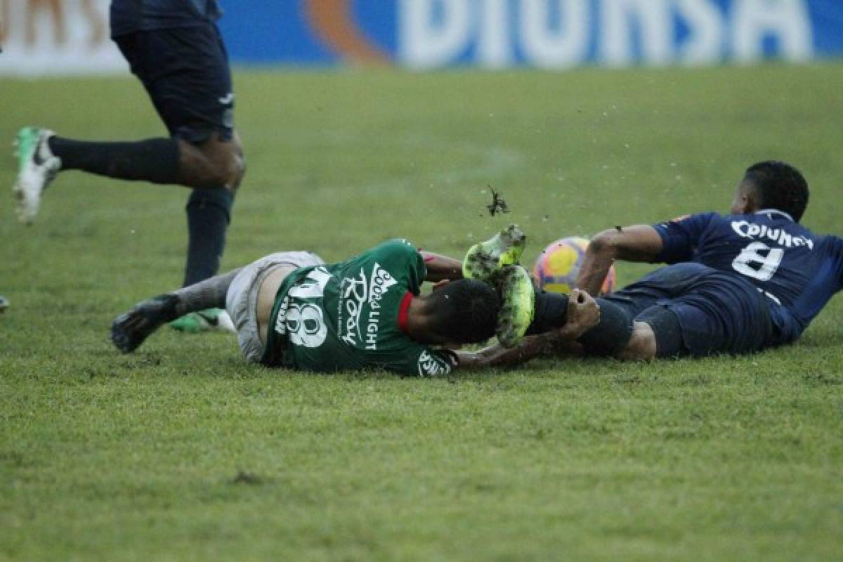 ¡Curiosas! El tacuazín que invadió la cancha y las 'garras' de Rubilio Castillo