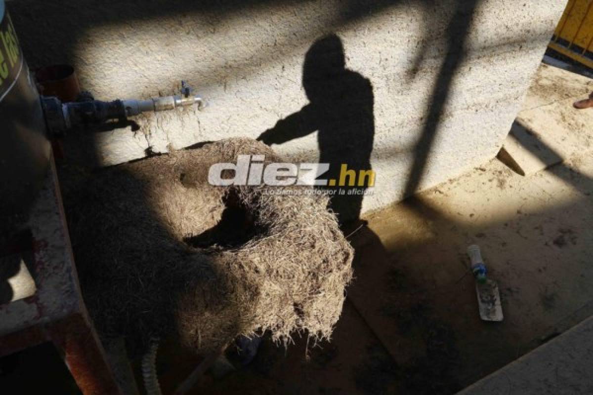 Las imágenes del estadio Humberto Micheletti de El Progreso tras el devastador paso de Eta