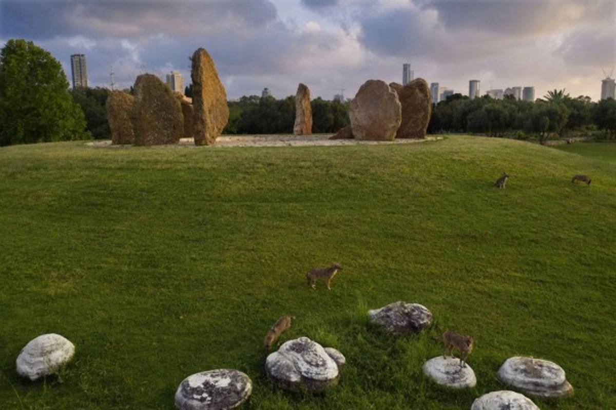 Las fotos que no olvidaremos nunca cuando pase la pandemia del coronavirus