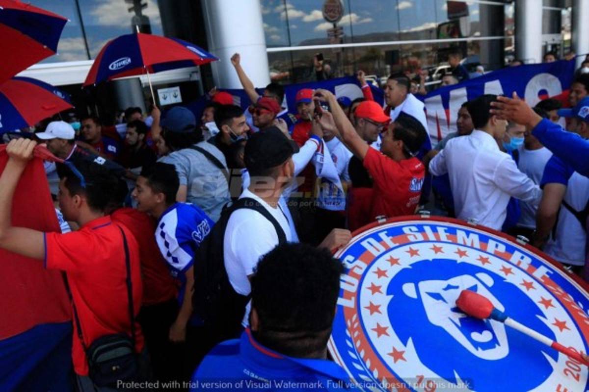 ¡Hasta con pasamontañas, guantes y tapabocas, regresó Olimpia de Canadá!