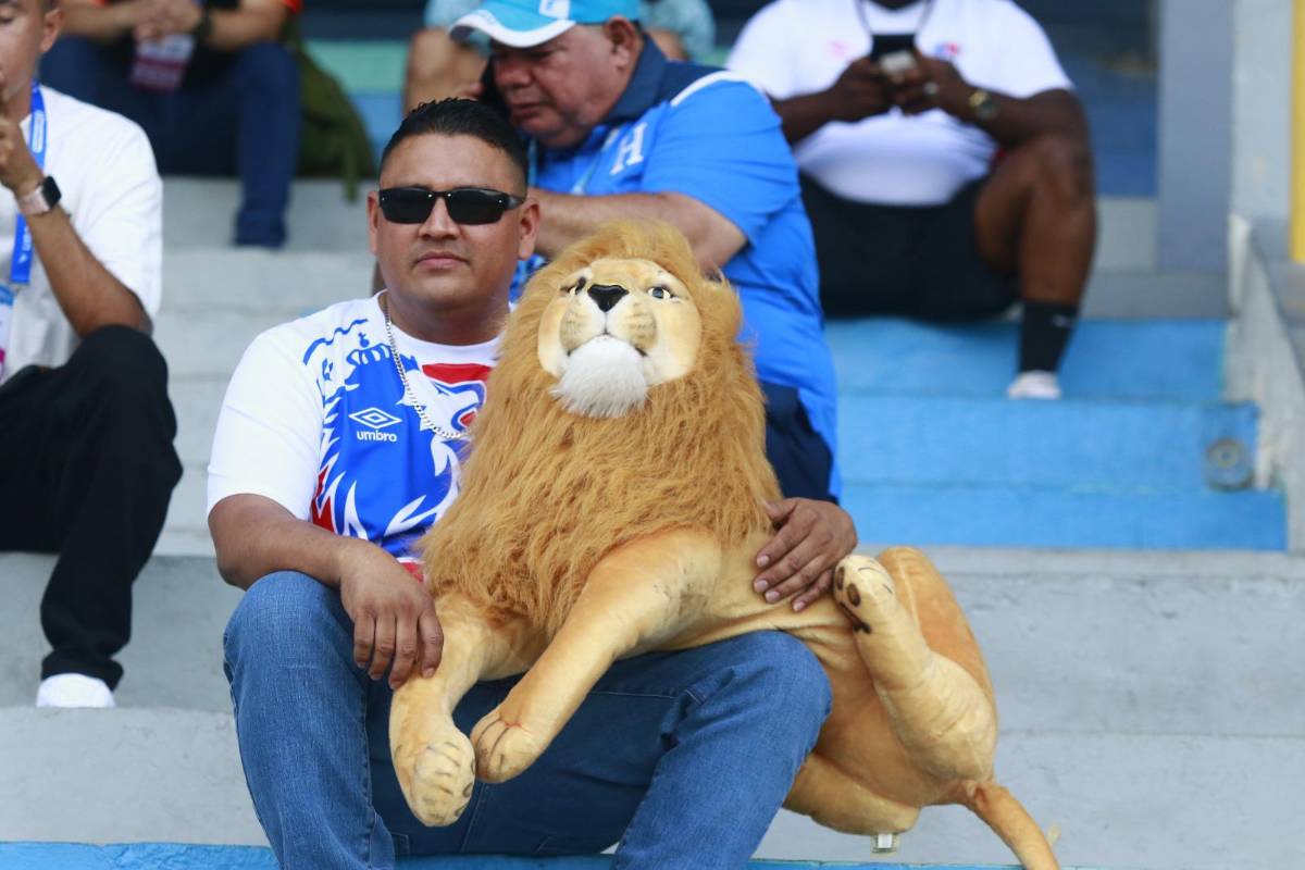 ¿Quién es la de verde? Las hermosas mujeres enamoraron en el Estadio Morazán