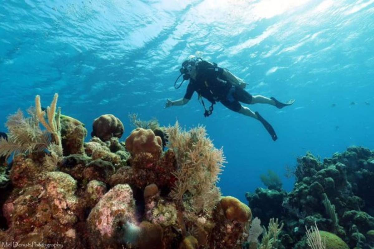 ¡Espectacular! Así disfruta del verano 2019 Sebastián Urrutia, preparador físico de Honduras