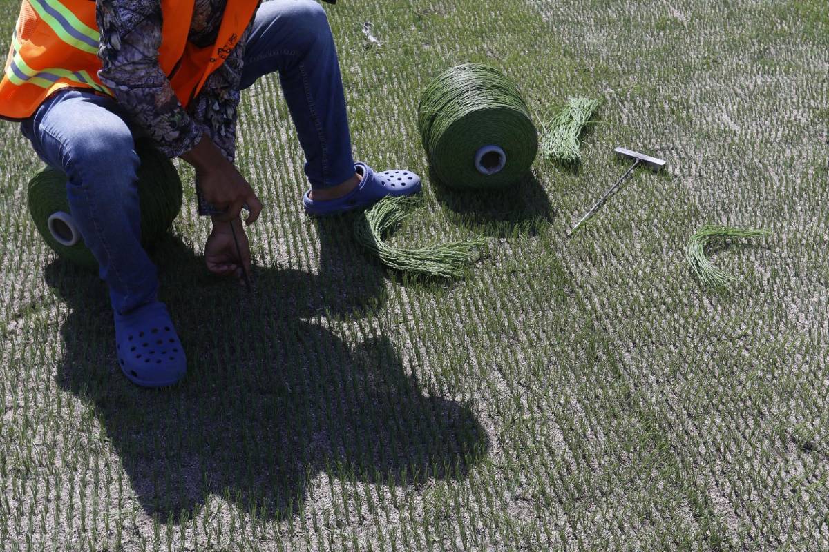 ¿Cuánto tiempo de vida tendrá la nueva cancha del Estadio Morazán? Notorio avance y lo que complementará el proyecto