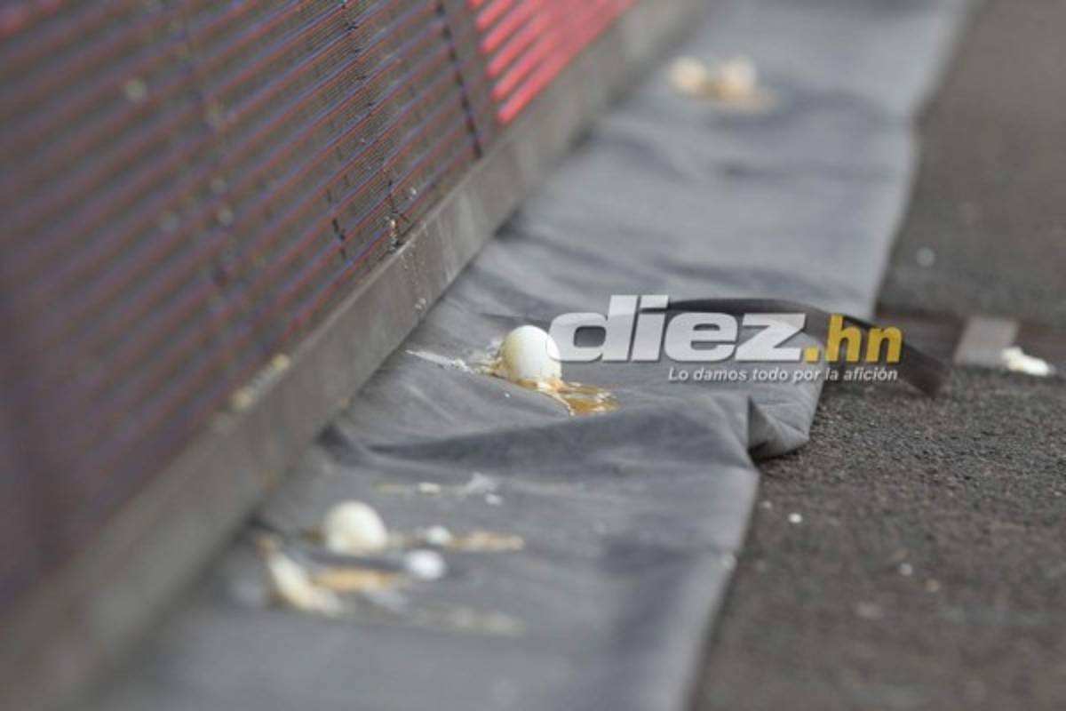 NO VISTE EN TV: Lluvia de huevos, pancartas en el Nacional y chicas lindas