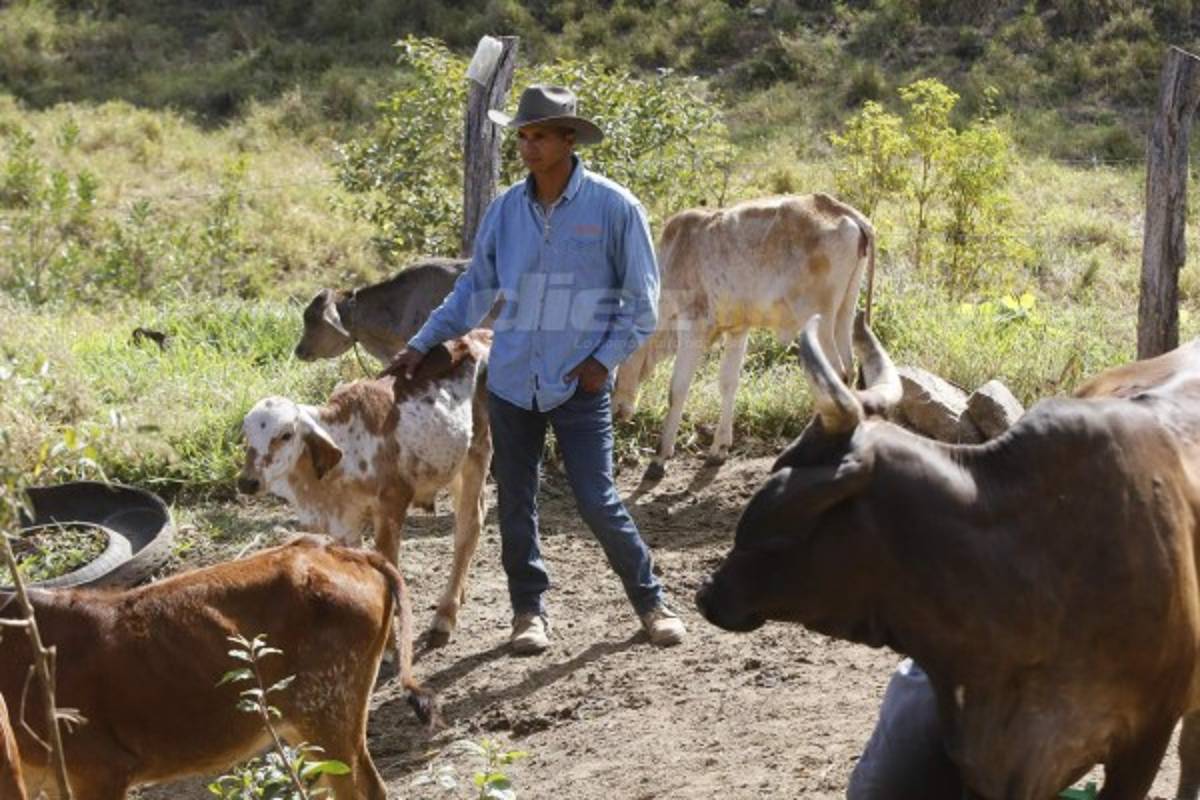 Donis Escober, ganadero: de sombrero y buen jinete; cambió la pelota por el ordeño de vacas