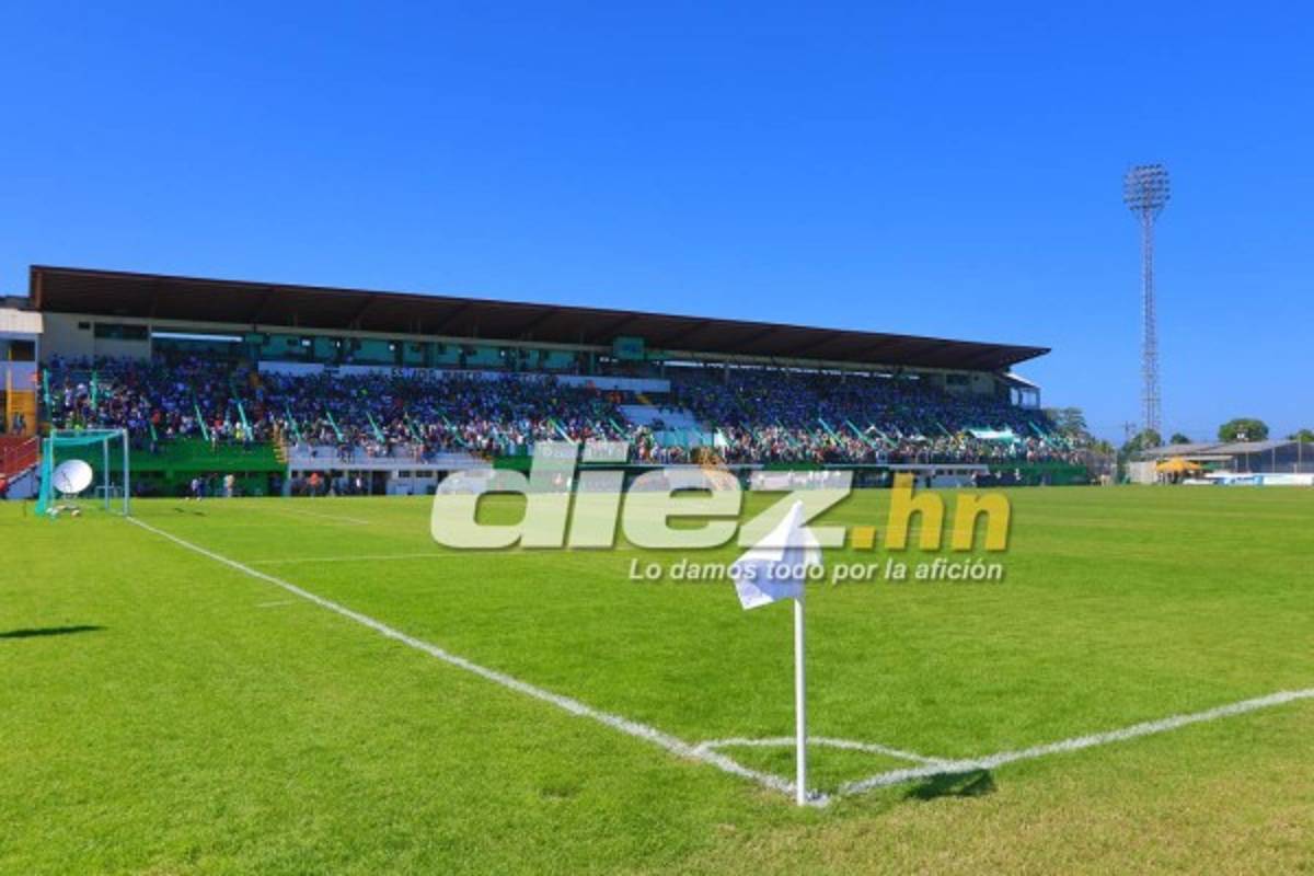 FOTOS: Lo que no se vio en tv en el título 14 de Motagua